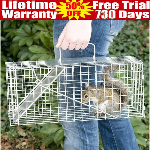 Heavy duty squirrel trap - heavy, metal