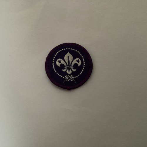Explorers scout badge - scout,