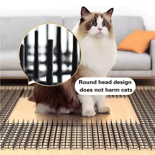 50pcs cat scat - cat, mat