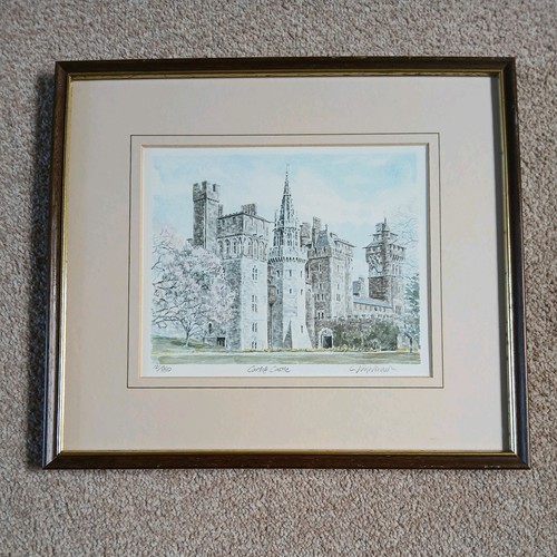 Glyn martin cardith - glyn,