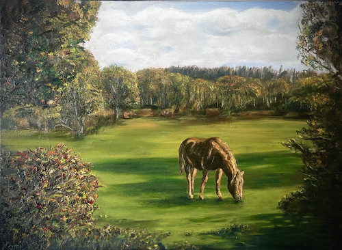 Near ober water - near, (new