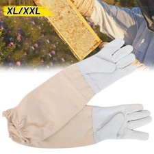 Gloves Beekeeping Bee
