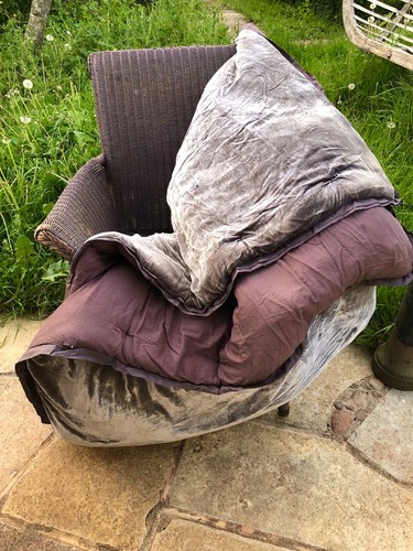 Velvet throw - velvet,