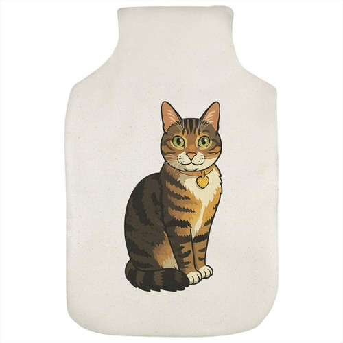 Sitting tabby cat hot - tabby,
