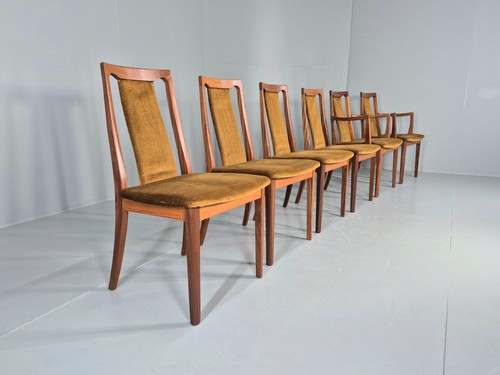 Vintage plan dining - vintage,