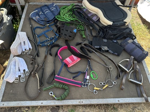 Job lot assorted horse - lot,