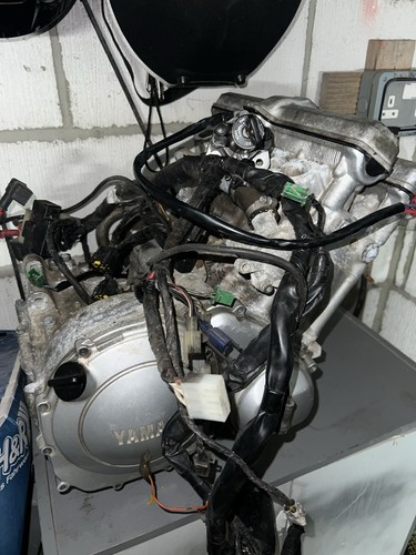 Yamaha yzf600r thundercat - yamaha,