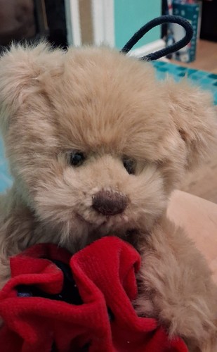 Harrods honey bear - honey,