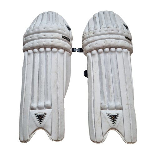 Salix zeitgeist batting pads - batting,