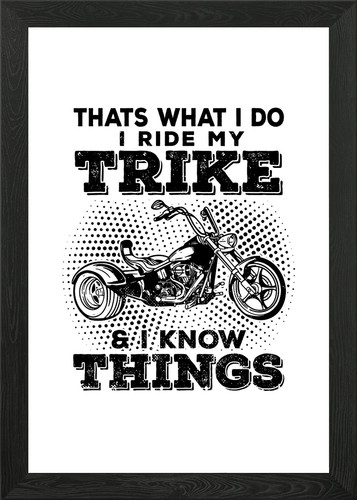 Awesome trike gift - trike,