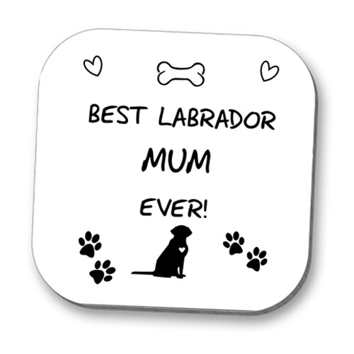 Best labrador lab - best, dog