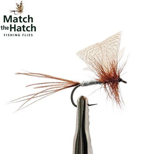 Mayfly grey drake - -, 6
