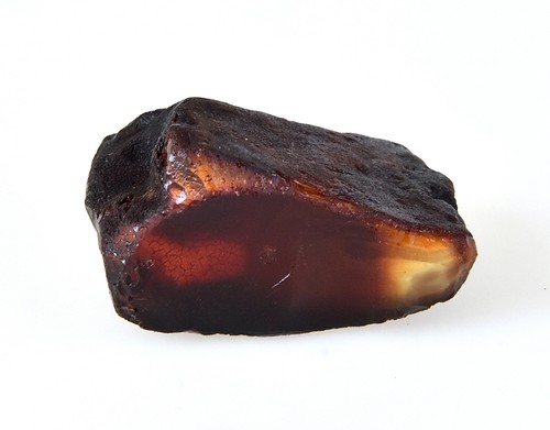 Baltic raw amber stone - baltic,