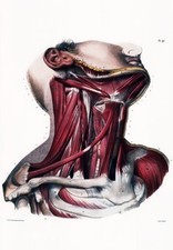 Ml26 vintage medical - ml26,