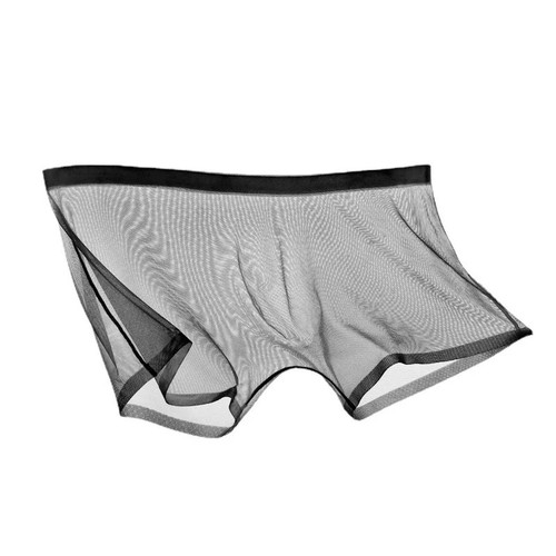 Mens sexy briefs see through - mens,