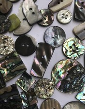 Job Lot 24 Shell Buttons