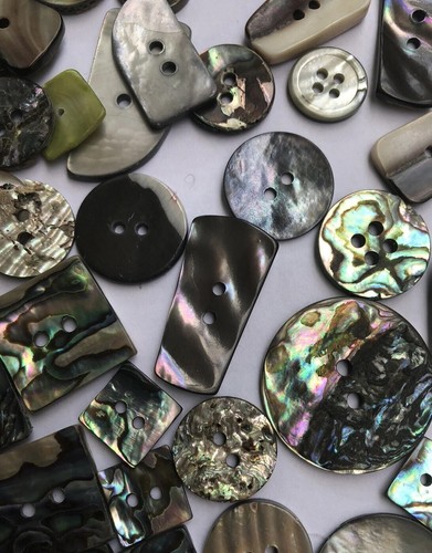 Job lot shell buttons - shell,