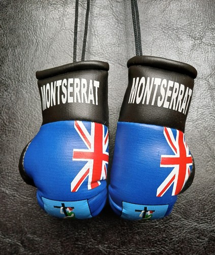Montserrat flag pair mini - montserrat,
