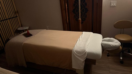 Heated electric adjustable - electric,