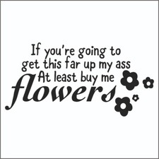   Funny  Vinyl Decal Sticker Car Van Funny Car Sticker VW RS ST