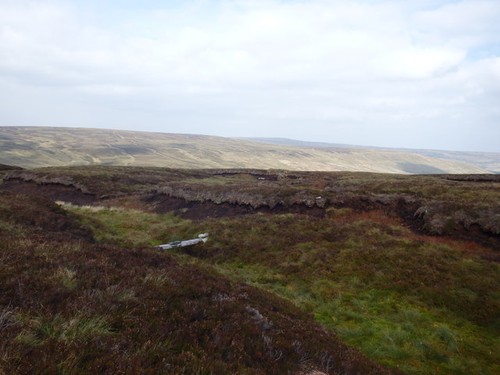 Photo fenn trap near lamb - trap,