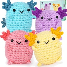 Crochet Kit for Beginners