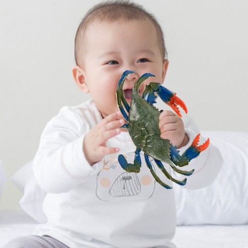 Toy crab toys desktop - crab,