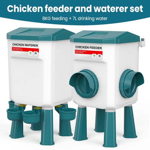 8kg chicken bird - chicken,