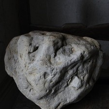 Ancient natural history