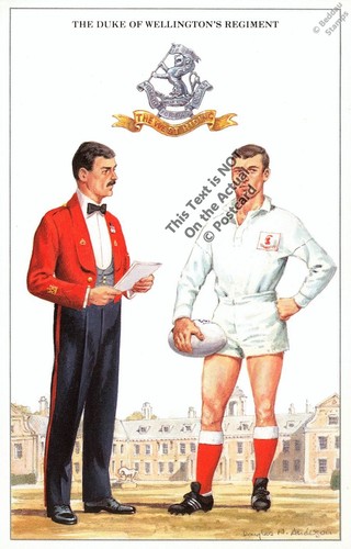 The duke wellington s - the, of