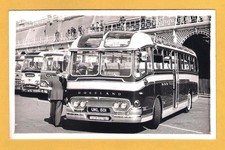 Brighton photo 1961 roseland - photo,