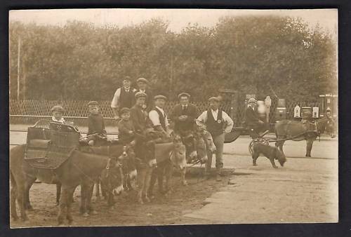 Skegness photo beach donkeys - skegness, photo.