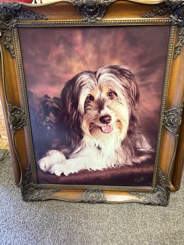 Old english sheep dog painting - old,
