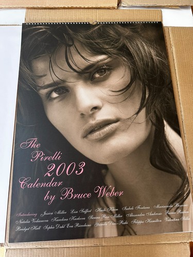 2003 pirelli calendar bruce - 2003,