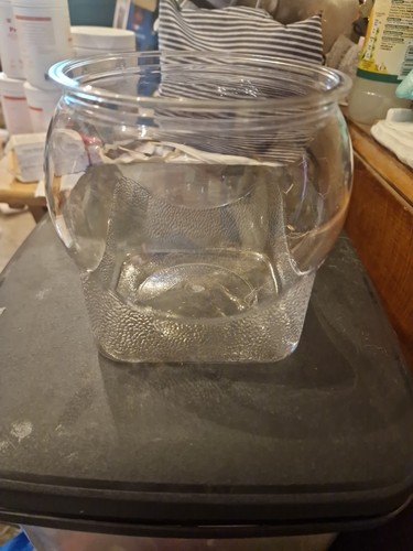 Goldfish fish bowl - goldfish,