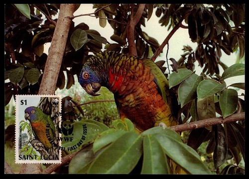 Lucia birds parrot blue - st.,