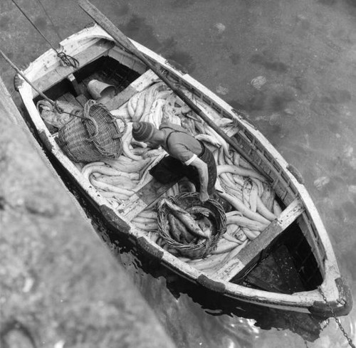 Fisherman bringing dinghy - bringing, a