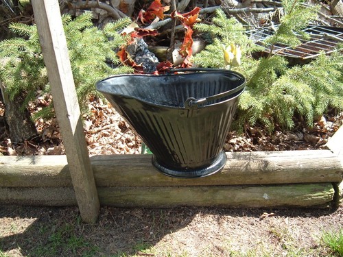 Ash bucket coal - ash,