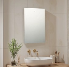 45 x 30cm Mirror with