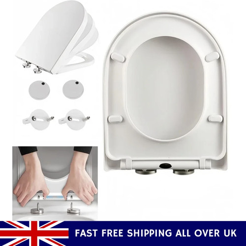 Luxury shape toilet seat - d-shape,