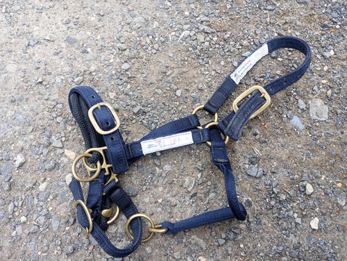 Monty roberts dually halter - monty,