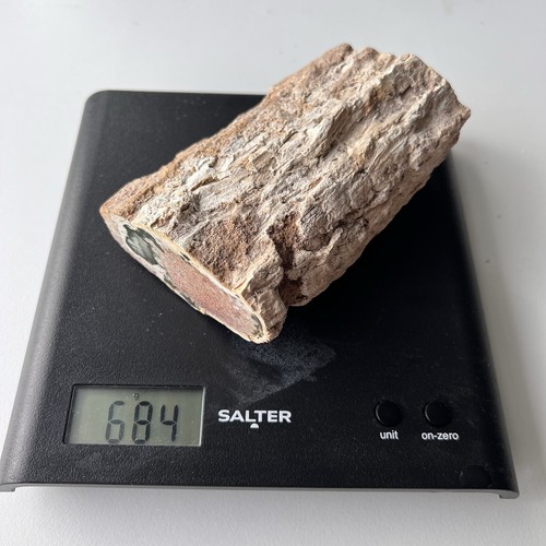 Petrified wood 700g polished - petrified,