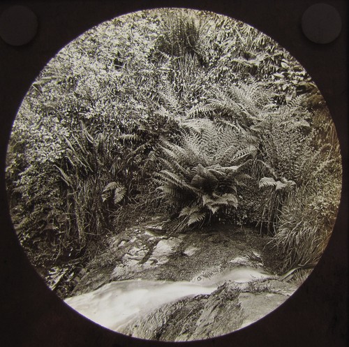 Glass magic lantern - slide, glen