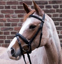 Stubben 1001 Waterford Bridle