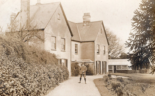 Devon rp postcard - n, (1905)