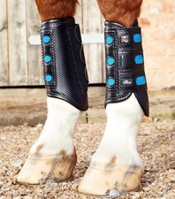 Premier Equine Air Cooled