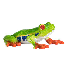 .Mojo RED EYED TREE FROG Wild