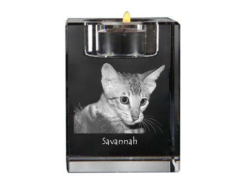 Savannah candle holder with - candle,