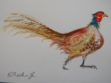 Original pen & ink watercolour painting of a Pheasant on ivory watercolour paper