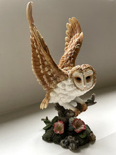 Barn Owl      Country  Life Leonardo Collection